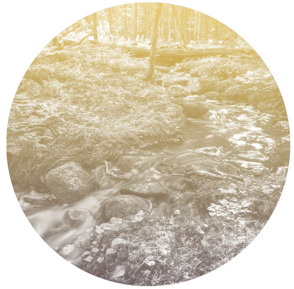 Fluss